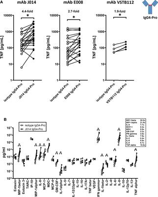 Distinct immune stimulatory effects of anti-human VISTA antibodies are determined by Fc-receptor interaction